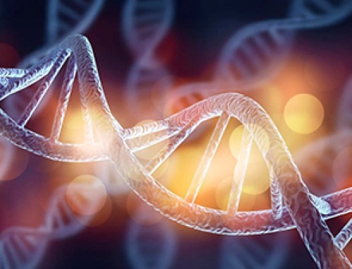 Unzipping the Code of Life: Scientists Pinpoint Where DNA First Opens