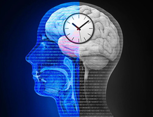 Scientists Tested an 8-Hour Eating Window and Found a Surprising Brain Benefit