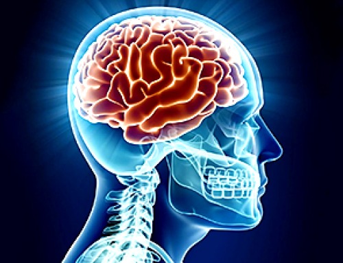 Scientists Discover the Brain May Enter a New Biological Phase Between 50 and 75
