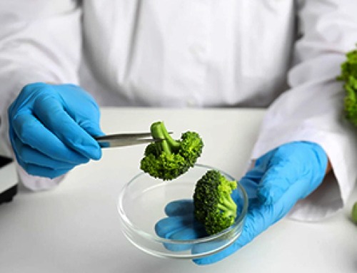 Natural Compound in Broccoli Could Help Treat a Rare, Incurable Neurological Disease
