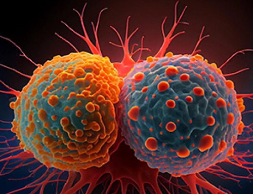 A Common Sugar May Loosen Cancer Cells and Help Them Spread