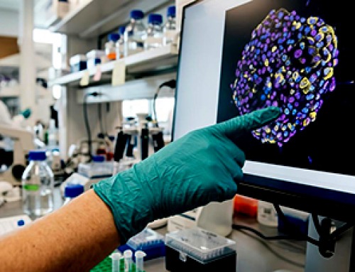 Reducing drug development failures with human-relevant models and AI