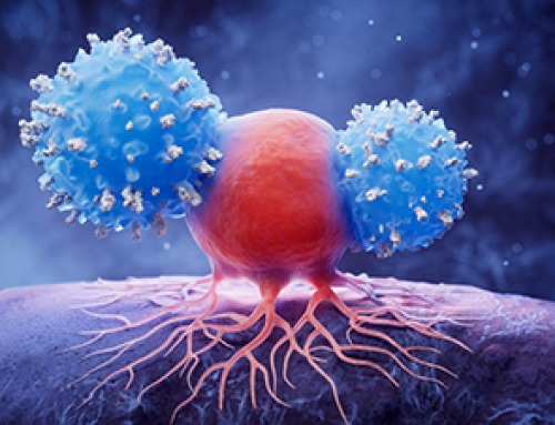 Cancer’s Hidden Antioxidant Shield Helps It Escape the Immune System