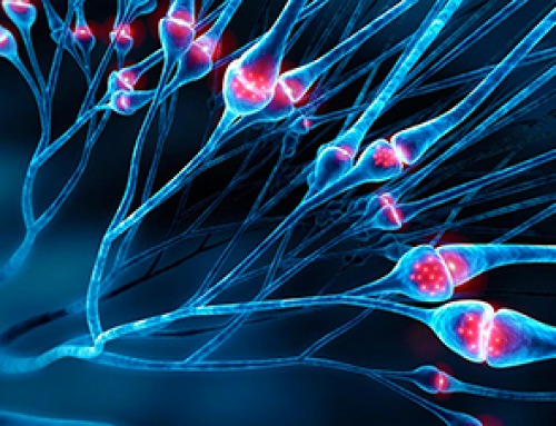 Researchers Have Discovered a New Way To Reduce Chronic Nerve Pain