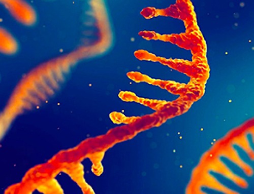 Too Much RNA Can Drain a Cell’s Energy, Scientists Discover