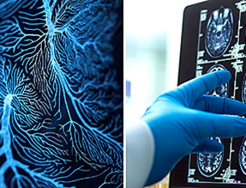 Cocaine plays with mind, hijacks brain circuit, drives increasingly rigid and repetitive behavior