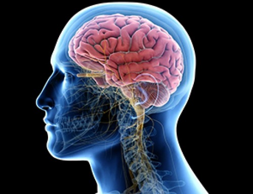A Single Enzyme Could Hold the Key to Treating a Devastating Brain Disorder
