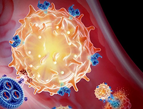 MIT Scientists Reprogram Immune Cells Inside the Body To Destroy Cancer