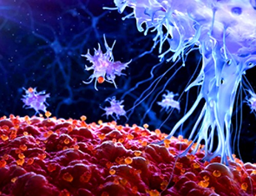 Scientists Discover a Hidden Trigger That Keeps Inflammation Alive